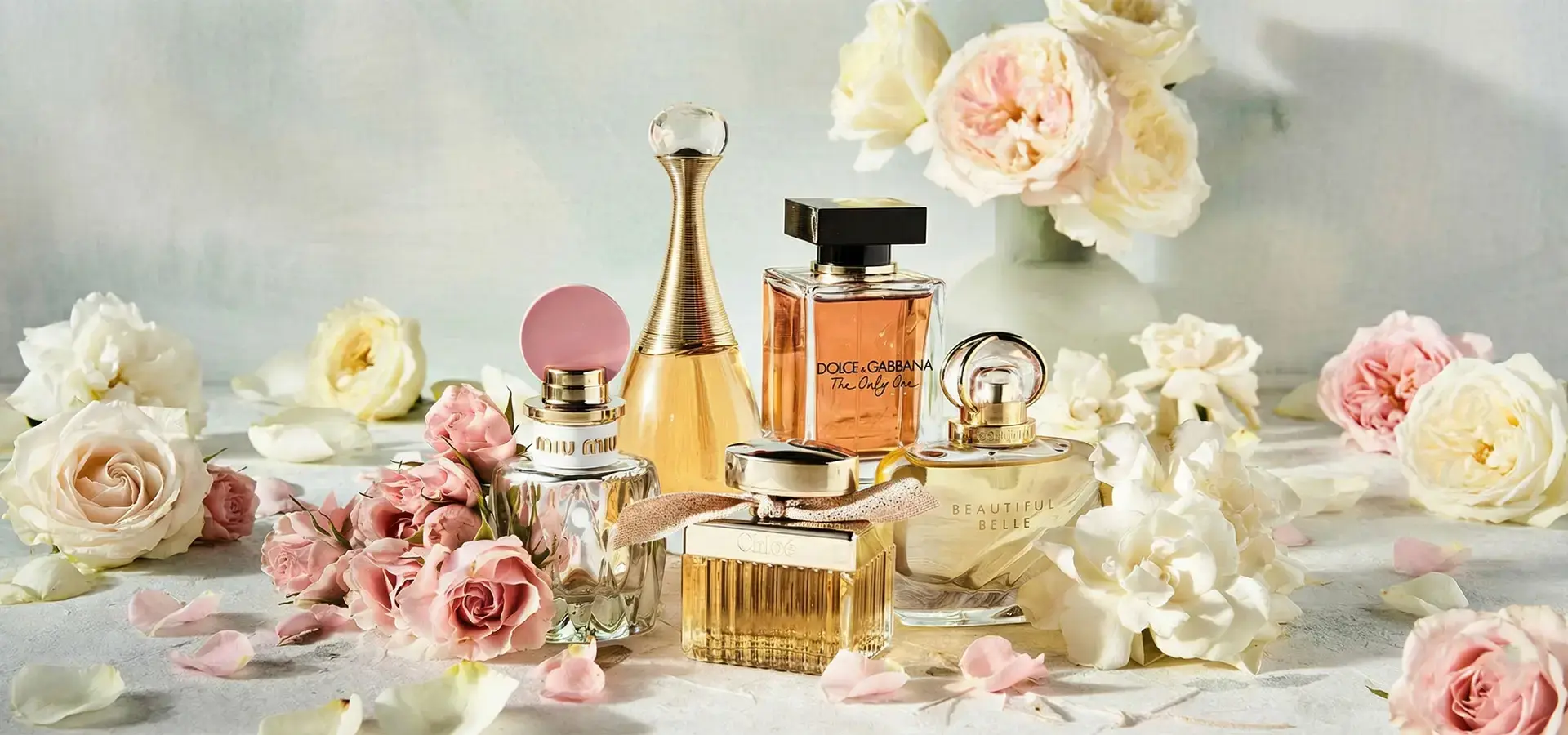 DOLCE GABBANA THE ONLY ONE