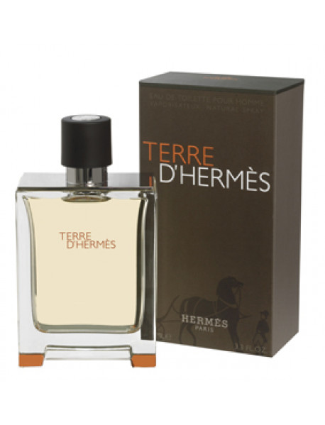 Hermes Terre D´Hermes Parfum pánska parfumovaná voda 125 ml