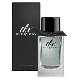 Burberry Mr. Burberry pánska toaletná voda 100 ml