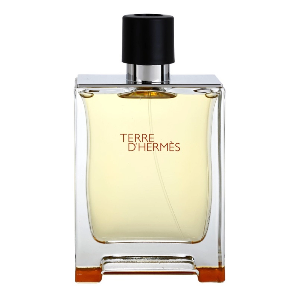 Hermes Terre D'Hermes pánska toaletná voda 100 ml TESTER